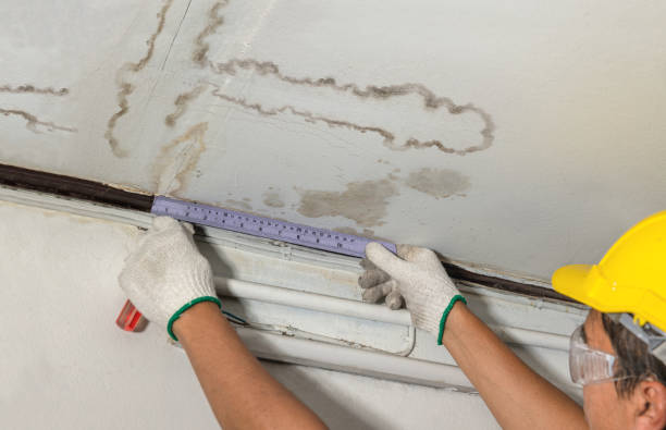 Reliable Basement Flood Cleanup contractor in Detroit, MI by Aqua Guard Water Damage